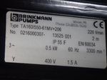Brinkmann Pumps Pump