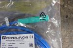 Pepper  Fuchs Sensor