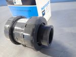 Hayward True Union Ball Valve