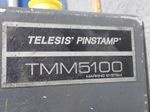 Telesis Pinstamp