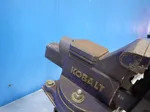 Kobalt Vise