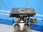 Olympus Optical Co Ltd Microscope