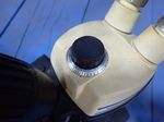 Bausch Lomb Microscope