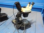 Bausch Lomb Microscope