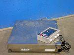 Arlyn Scales Scale