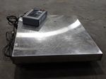 Arlyn Scales Scale