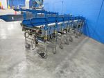 Nesta Flex Expandable Conveyor
