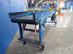 New London Engineering Conveyor Long