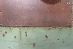 Sanford Surface Grinder