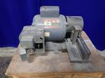 Dayton Grinder