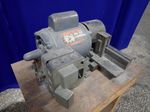 Dayton Grinder