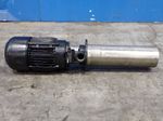 Brinkmann Pump