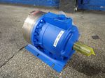 Hydracell Pump