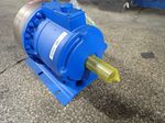 Hydracell Pump