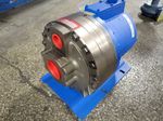 Hydracell Pump