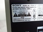 Sony Video Monitor