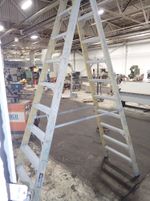 Rhino  Fiberglass Ladder 