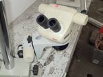 Leica Microscope
