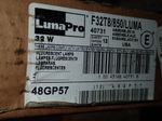 Philips Luma Pro Fluorescent Light Bulbs