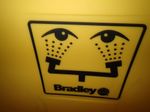 Bradley Portable Eye Wash Station 
