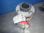  Butterfly Valve