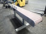  Ss Powered Belt Conveyor