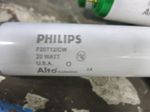 Philips Fluorescent Light Bulbs