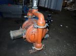 Wilden Diaphragm Pump