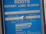 Roots Blower