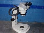 Nikon Microscope