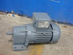 Bauer Gear Motor