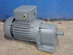 Bauer Gear Motor