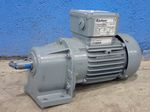 Bauer Gear Motor