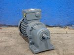 Bauer Gear Motor