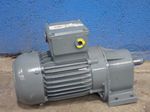 Bauer Gear Motor