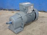 Bauer Gear Motor