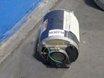 Dayton Carbonator Pump Motor