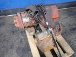Black Bear Chain Hoist