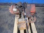 Black Bear Chain Hoist