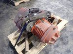 Black Bear Chain Hoist