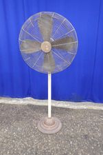 Hunter Division Pedestal Fan