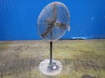 Central Machinery Pedestal Fan