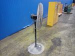 Central Machinery Pedestal Fan