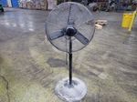 Central Machinery Pedestal Fan