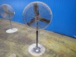 Central Machinery Pedestal Fan