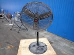 Dayton Pedestal Fan