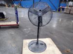 Dayton Pedestal Fan