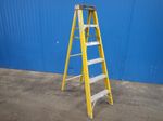Werner Step Ladder