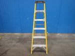 Werner Step Ladder