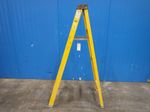 Werner Step Ladder